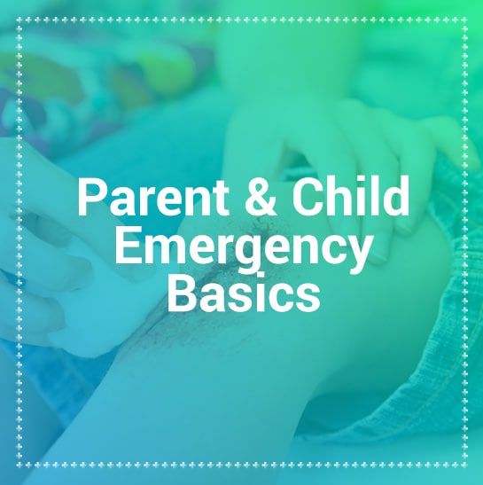 parent-and-child-emergency-basics-first-aid-training Parent and child first aid training